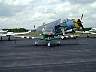 smaller0455.jpg
